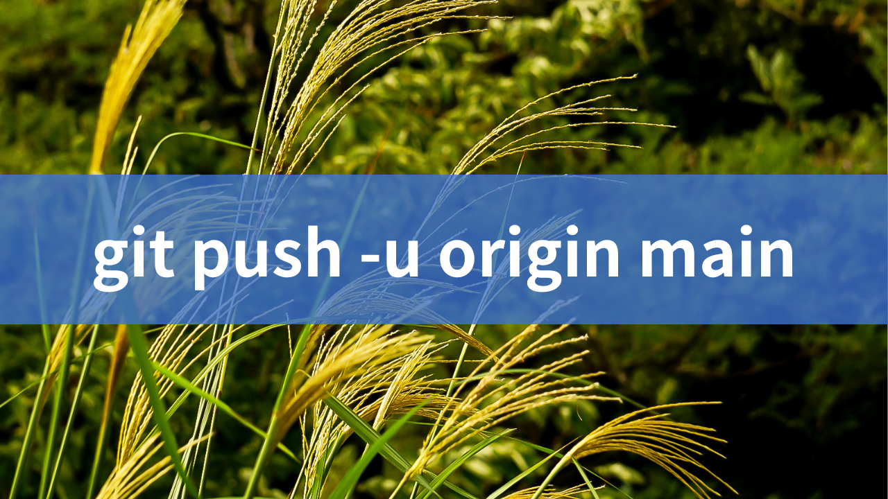 git push -u origin main